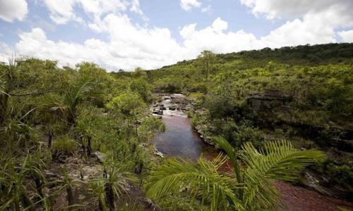 Серрания де ла макарена и каньо кристалес «Жидкая радуга» недалеко от Ла-Макарены